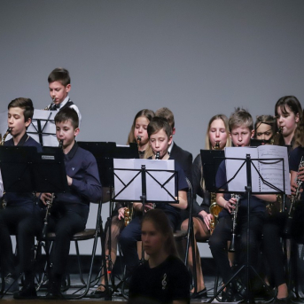 20. Vidzemes jauniešu kamerorķestru festivāls -