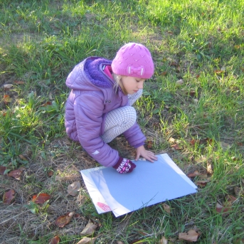 Mākslas nodaļas plenērs - 