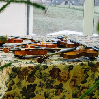 Stīgu nodaļas koncerts - 