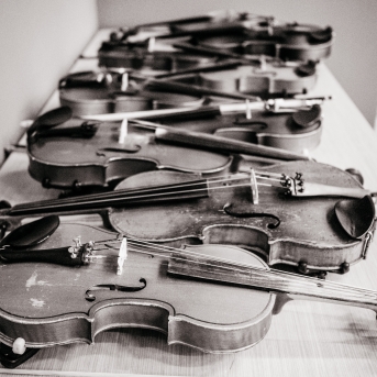 Ciemojamies Ādažos - 