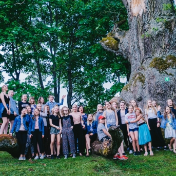 Viesos koris no Somijas - 