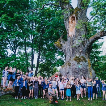 Viesos koris no Somijas - 