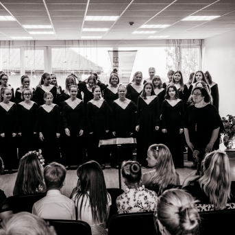 Viesos koris no Somijas - 