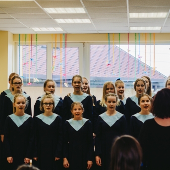 Viesos koris no Somijas - 