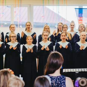 Viesos koris no Somijas - 