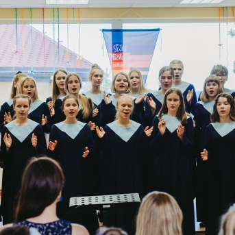 Viesos koris no Somijas - 