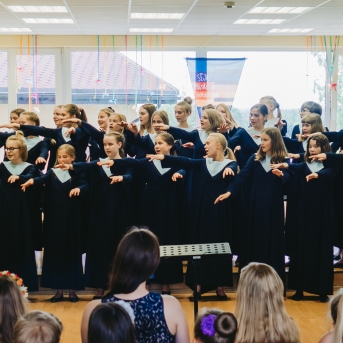 Viesos koris no Somijas - 