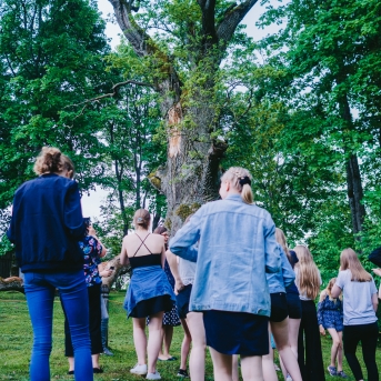 Viesos koris no Somijas - 