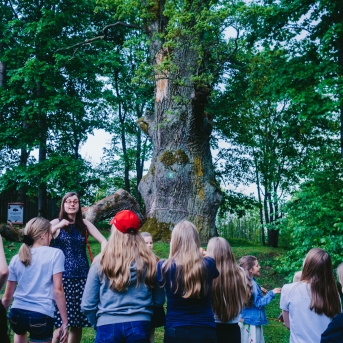 Viesos koris no Somijas - 