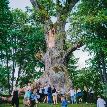 Viesos koris no Somijas - 