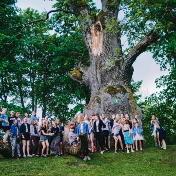 Viesos koris no Somijas - 