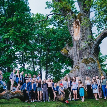 Viesos koris no Somijas - 