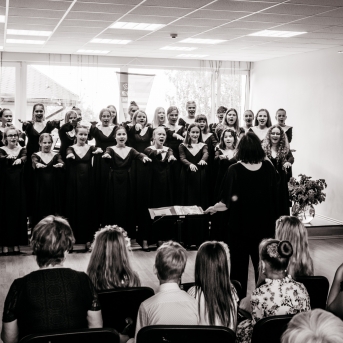 Viesos koris no Somijas - 