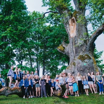 Viesos koris no Somijas - 