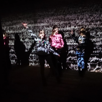 Mākslas nodaļas izbraukums - 