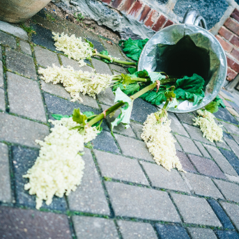 SMMS izlaidums 2019.! - 