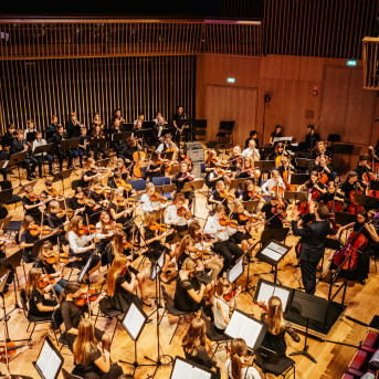 Orķestru festivāls  - 