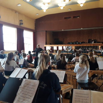 Koklē vēju vanadziņš - 