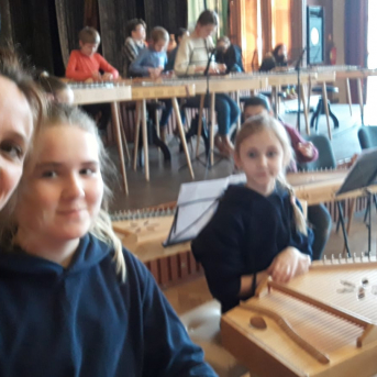 Koklē vēju vanadziņš - 