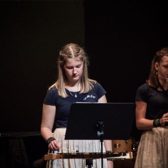 Ciemos pie Alfrēda Kalniņa - 