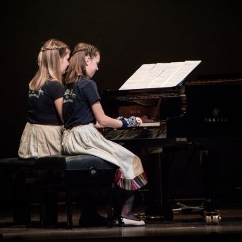 Ciemos pie Alfrēda Kalniņa - 