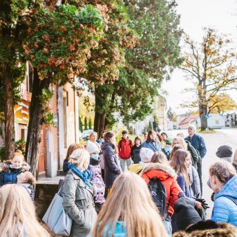 Ciemos pie Alfrēda Kalniņa - 