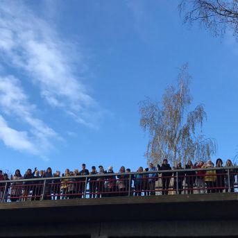 Ciemos pie Alfrēda Kalniņa - 