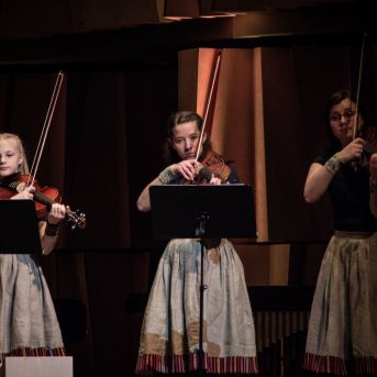 Ciemos pie Alfrēda Kalniņa - 