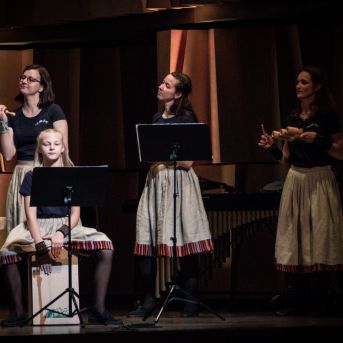 Ciemos pie Alfrēda Kalniņa - 