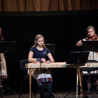 Ciemos pie Alfrēda Kalniņa - 