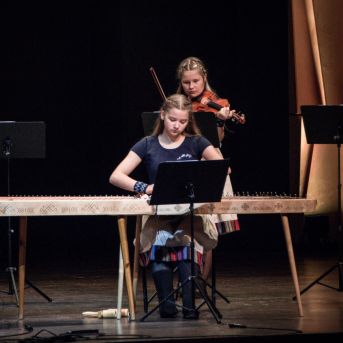 Ciemos pie Alfrēda Kalniņa - 