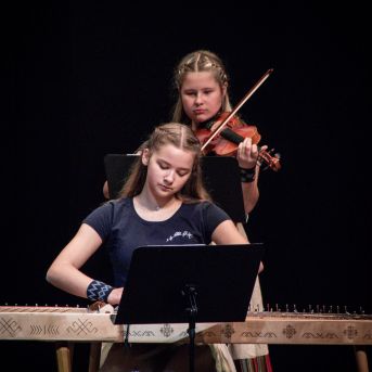 Ciemos pie Alfrēda Kalniņa - 