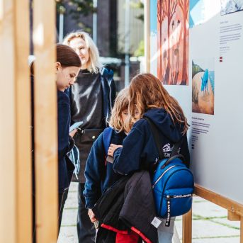 SMMS bauda mākslu - 