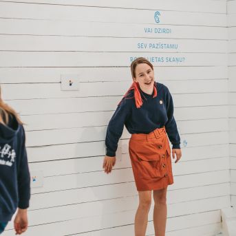 SMMS bauda mākslu - 