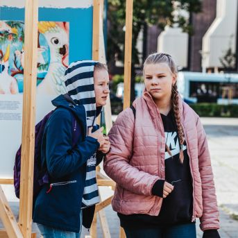 SMMS bauda mākslu - 