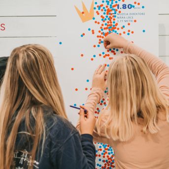 SMMS bauda mākslu - 