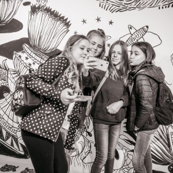 SMMS bauda mākslu - 