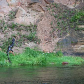 Lai top!  sk.Guntara Foto II - 