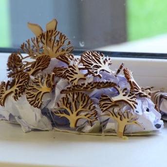 Lai top!  sk.Guntara Foto II - 