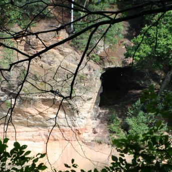 Lai top!  sk.Guntara Foto II - 