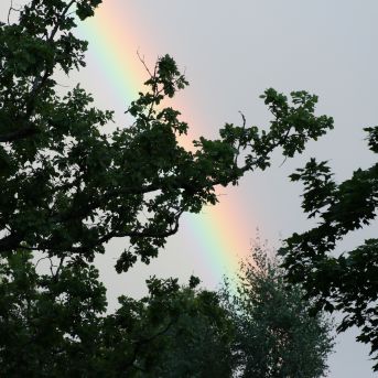 Lai top!  sk.Guntara Foto II - 