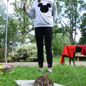 Lai top!  sk.Guntara Foto II - 