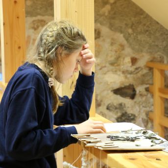 Lai top!  sk.Guntara Foto II - 