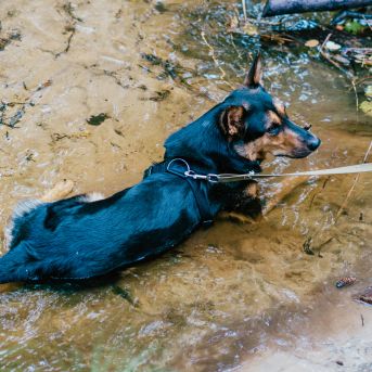Pārgājiens 2021 - Foto: SMMS audzēkne Alise Kidika