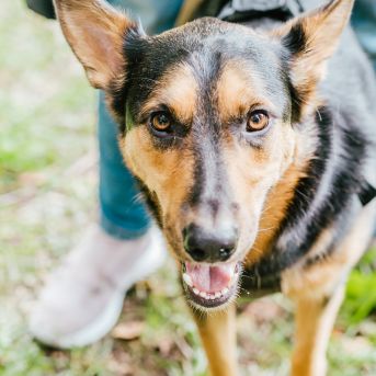 Pārgājiens 2021 - Foto: SMMS audzēkne Alise Kidika
