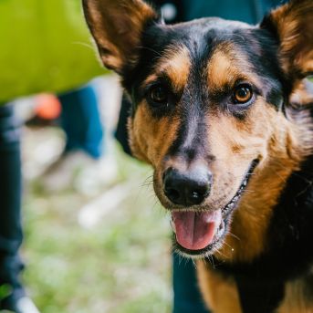 Pārgājiens 2021 - Foto: SMMS audzēkne Alise Kidika