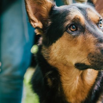 Pārgājiens 2021 - Foto: SMMS audzēkne Alise Kidika