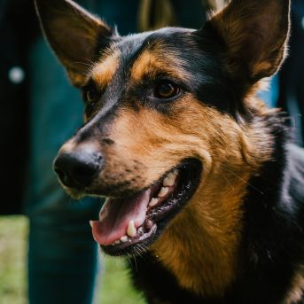 Pārgājiens 2021 - Foto: SMMS audzēkne Alise Kidika