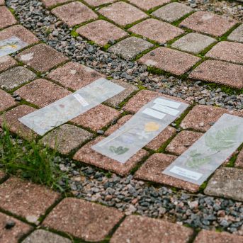 Pārgājiens 2021 - Foto: SMMS audzēkne Alise Kidika