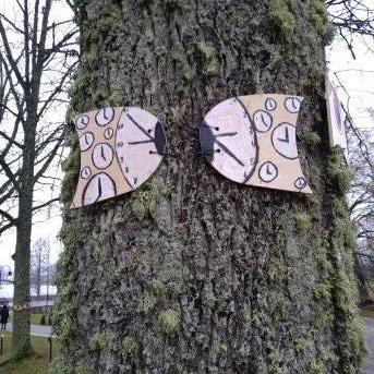 Koki - laika liecinieki - 